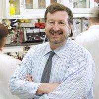 Headshot of David A. Scheinberg