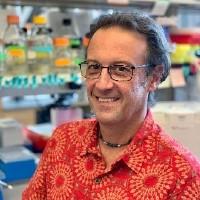 Headshot of Alex Toker