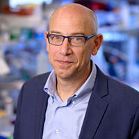 Headshot of Charles Rudin