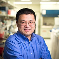 Headshot of Hongbo Chi