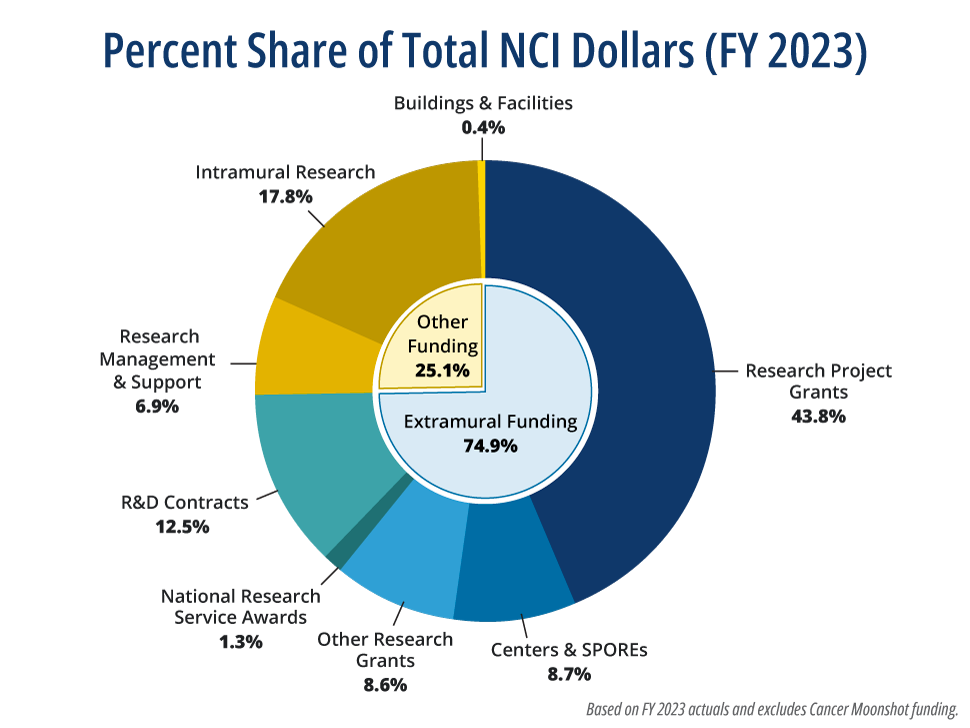 A sunburst/doughnut chart showing one breakdown of NCI’s fiscal year 2023 budget