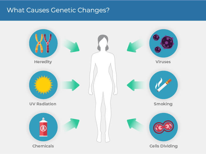 Infographic titled "What Causes Genetic Changes?" showing a silhouette of a person in the center. Surrounding the silhouette are six icons with labels: "Heredity" with a DNA strand, "Viruses" with virus cells, "UV Radiation" with a sun, "Smoking" with a cigarette, "Chemicals" with a chemical bottle, and "Cells Dividing" with dividing cells. Each icon points towards the silhouette.