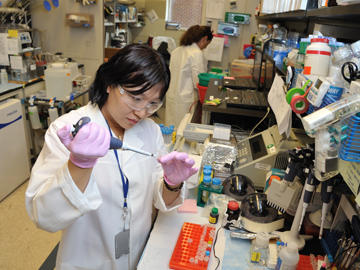 Two female technicians working in a laboratory.
