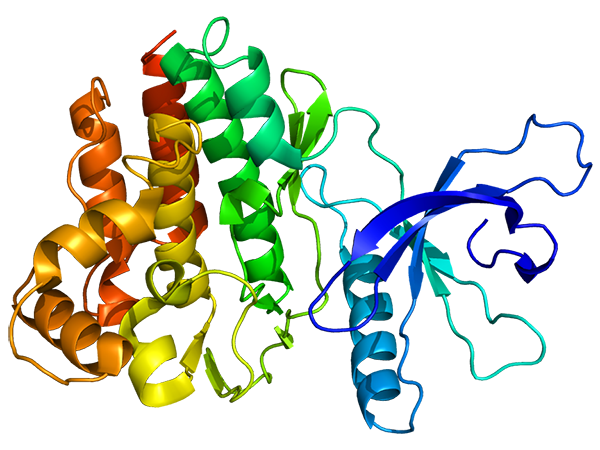 Colorful 3D representation of the JAK3 protein structure, showing complex, intertwined helices and strand