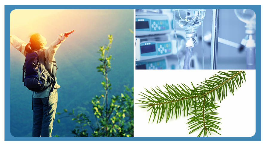 A three panel collage image. On the left, a woman holds her hands up and out, face to the sky, and wears a backpack and hiking clothing. The top of a tree and blurry foliage can be seen in the background. In the top right is a close up of IV packs in a hospital setting. In the bottom right, branches with pine needles are shown.