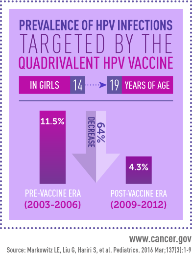A factoid image about the prevalence of HPV infections targeted by the quadrivalent HPV vaccine in girls between 14 and 19 years of age. There are two bar charts: the pre-vaccine era, from 2003-2006, is 11.5%; and the post-vaccine era, from 2009-2012, is 4.3%. There is a downward facing arrow that reads 64% decrease. 