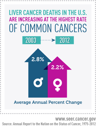 Infographic showing liver cancer death rates from 2003 to 2012, with arrows indicating 2.8% annual increase for men and 2.2% for women