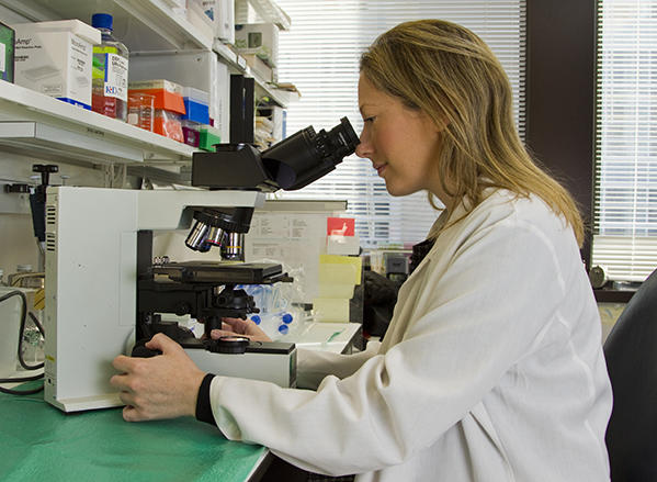 A female scientist sits down and looks through a microscope. She wears a lab coat and has shoulder length dirty blonde hair. She has a happy expression on her face. In the background, shelves with various types of equipment and binders can be seen, as well as large windows with the blinds pulled down, indicating a lab environment.