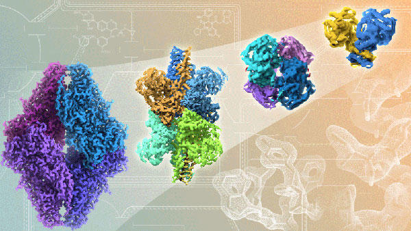 Sequence of cryo-EM protein structures showing progressively improved resolution from left to right, with detailed atomic-level visualization of colorful protein complexes and potential drug binding sites.