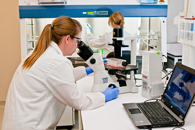 Female scientist looking through microscope in a lab