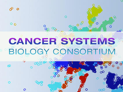 Cancer Systems Biology Consortium