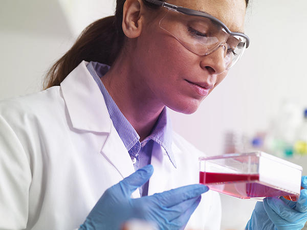 A female researcher wearing safety glasses, a lab coat, and gloves examines a container full of liquid. 
