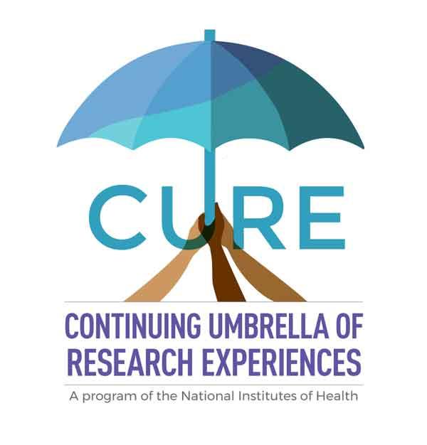 The logo for CURE. CURE is in blue letters; the right part of the U extends upward to become an umbrella with three arms of different shades holding the same part of the U. Below this logo is text that reads “Continuing Umbrella of Research Experiences” in purple letters; smaller grey text below the acronym explanation reads “A program of the National Institutes of Health.”