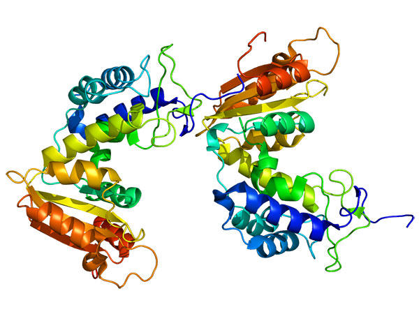 Two columns of horizontal, ribbon-like structures colored in shades of red, oranges, yellows, greens, and blues.