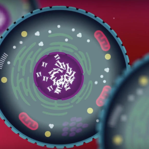 Screenshot from Proteogenomics video