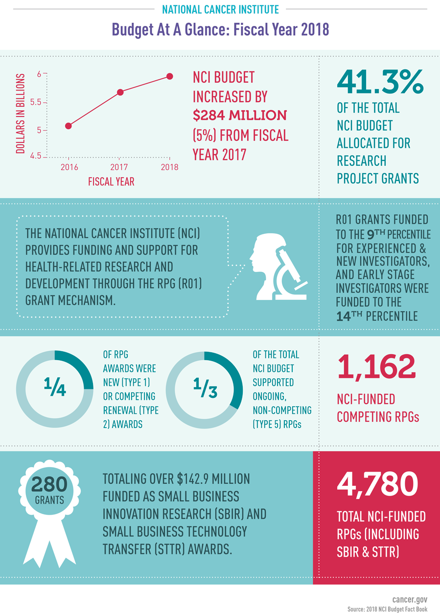National Cancer Institute Budget At A Glance: Fiscal Year 2018 infographic
