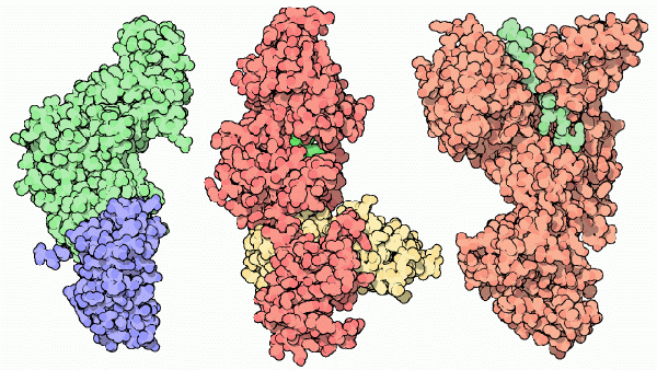 Three large clusters side by side. The first cluster (protective antigen) is green on top, purple on the bottom; the middle cluster is mostly red-orange with some yellow towards the bottom and a very small section of green towards the middle-top; the right cluster is orange with a small amount of green through the top section.