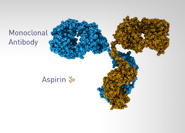Molecular model showing the size comparison between a monoclonal antibody (large structure) and an aspirin molecule (small structure).