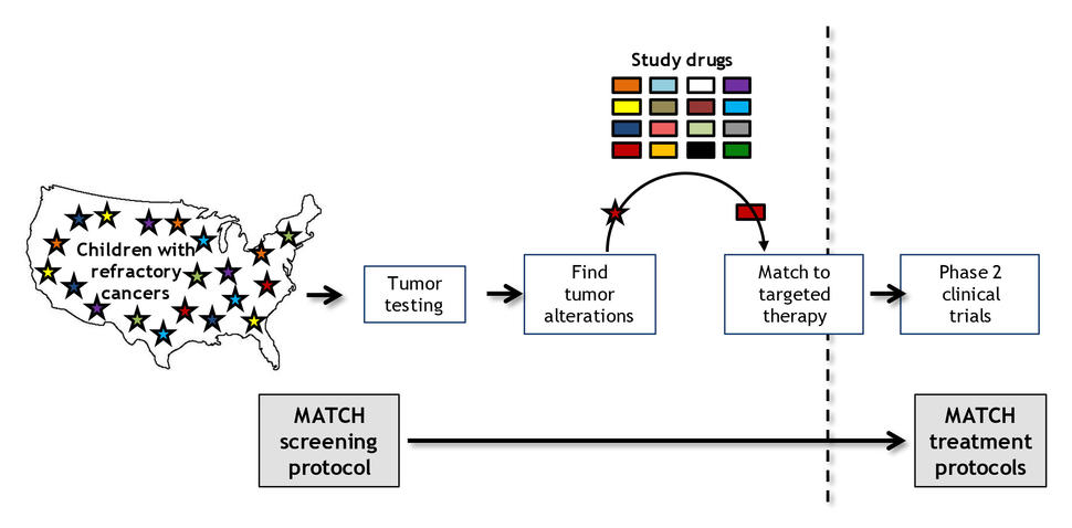 A Schematic Diagram of the Pediatric MATCH Trial