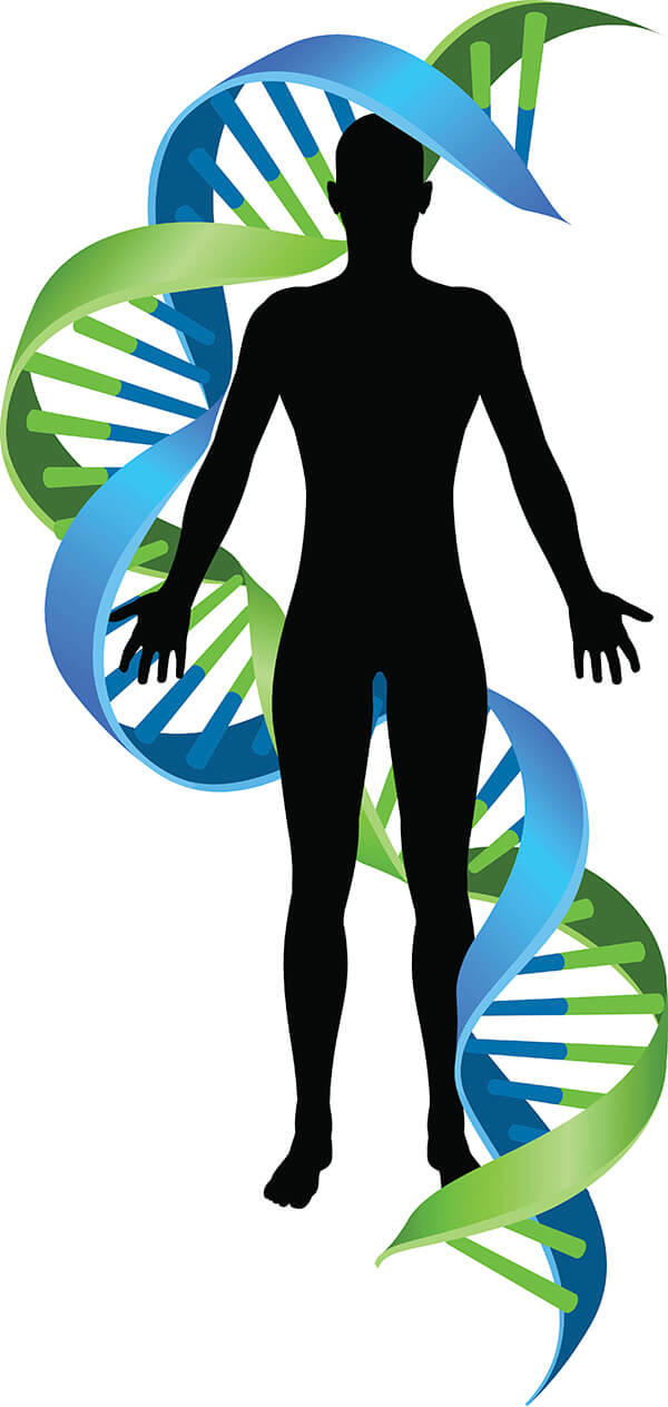 Illustration of a double helix DNA chromosome strand behind a human silhouette