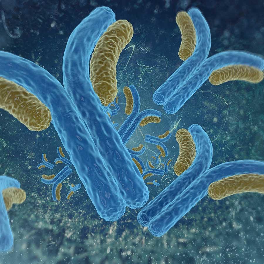3d illustration of a cell antibodies