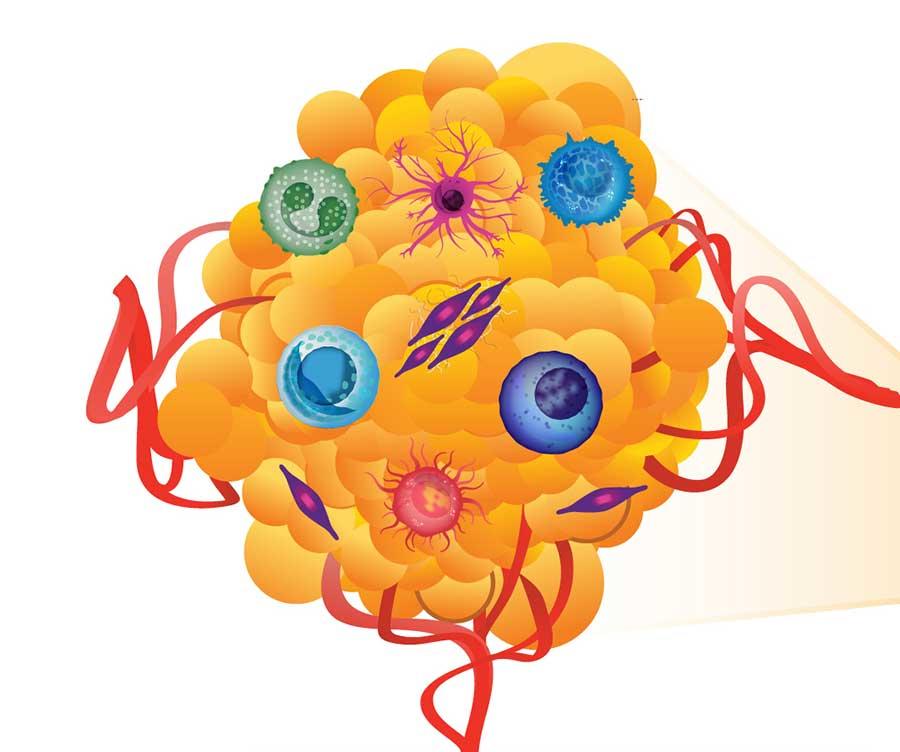 A tumor (yellow) is shown in the background. Components within the microenvironment are overlaid on the tumor, including a dendritic cell (pink), a T-cell (blue), a fibroblast (purple and pink), a natural killer cell (dark blue), a regulatory t cell (aqua), blood vessels (red), a macrophage cell (red with a yellow center), and a myeloid cell (green)
