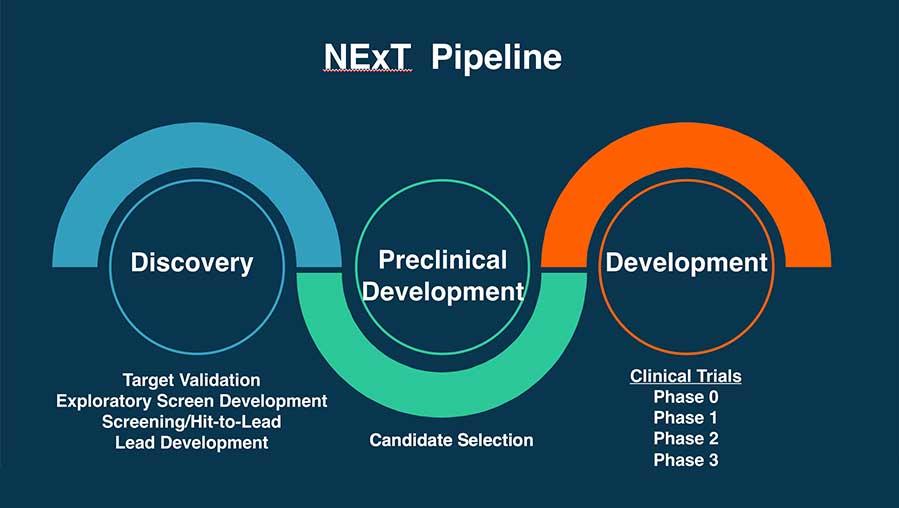 Diagram of NExT pipeline from discovery to preclinical development and development.