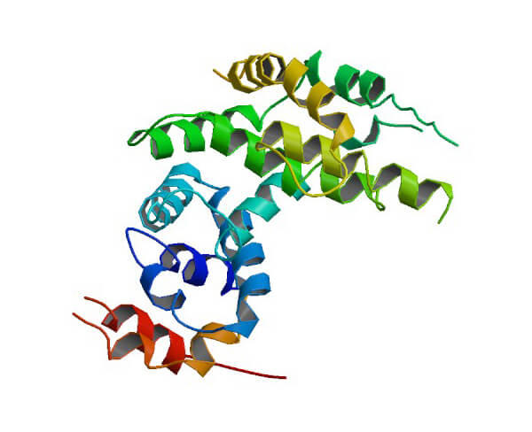 3D protein structure visualization of NF1 protein showing its complex folded architecture with colorful ribbons representing alpha helices and beta sheets in various orientations.