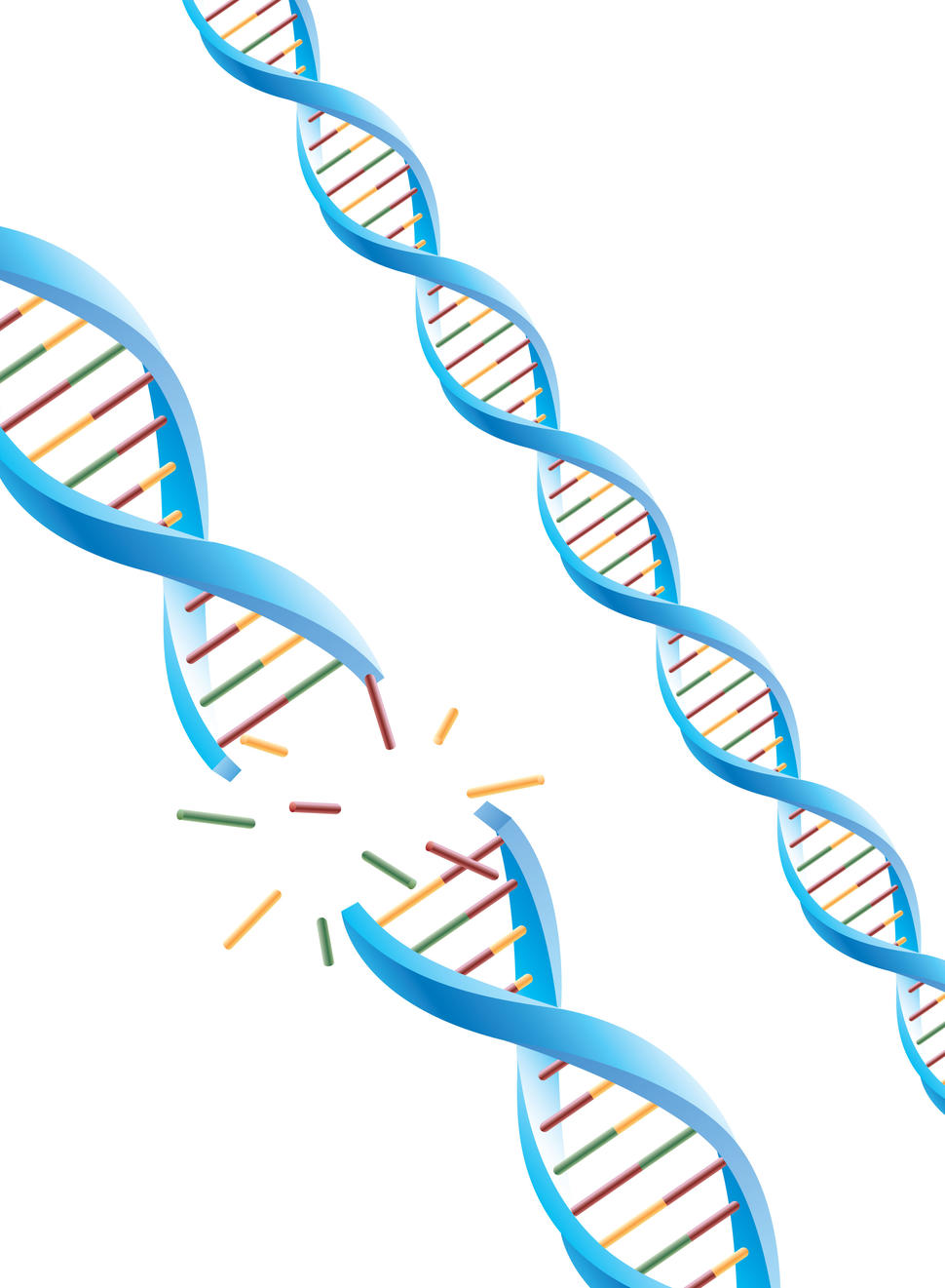 Three DNA double helix strands. One DNA strand is depicted as breaking apart, with fragments of the helix and its colored components flying outward.
