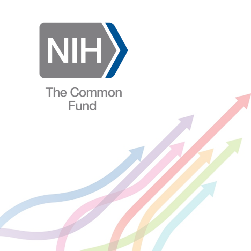 NIH Common Fund FIRST Program Image