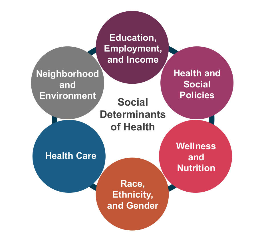 A circle diagram highlighting the different social determinants of health