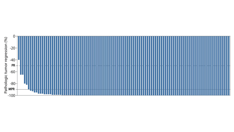 A waterfall plot showing the tumor responses of patients in the NICHE-2 trial.