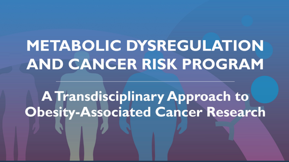 Metabolic Dysregulation and Cancer Risk Program: A Transdisciplinary Approach to Obesity-Associated Cancer Research; images of people, cells, and metabolic mechanisms
