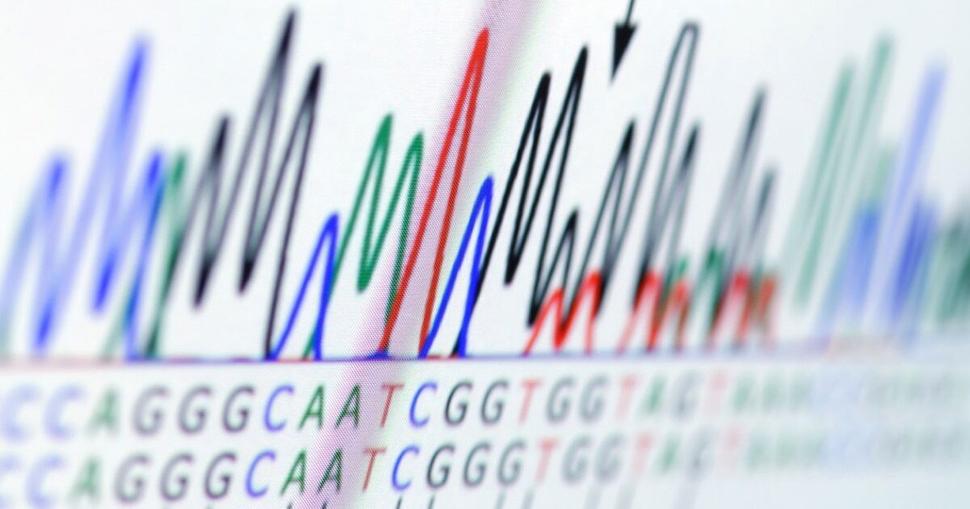 Visualization of dye labeled dideoxynucleotides generated from DNA fragments of different lengths and sequences