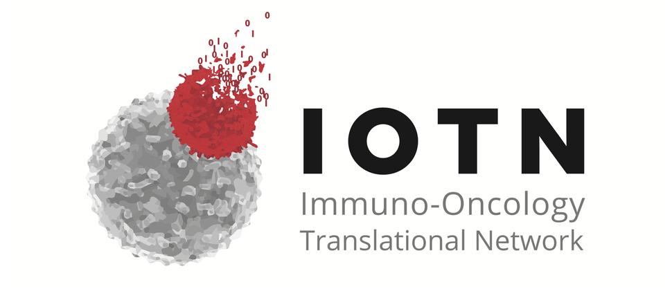 Immuno-Oncology Translational Network (IOTN) image with an immune cell attacking a cancer cell
