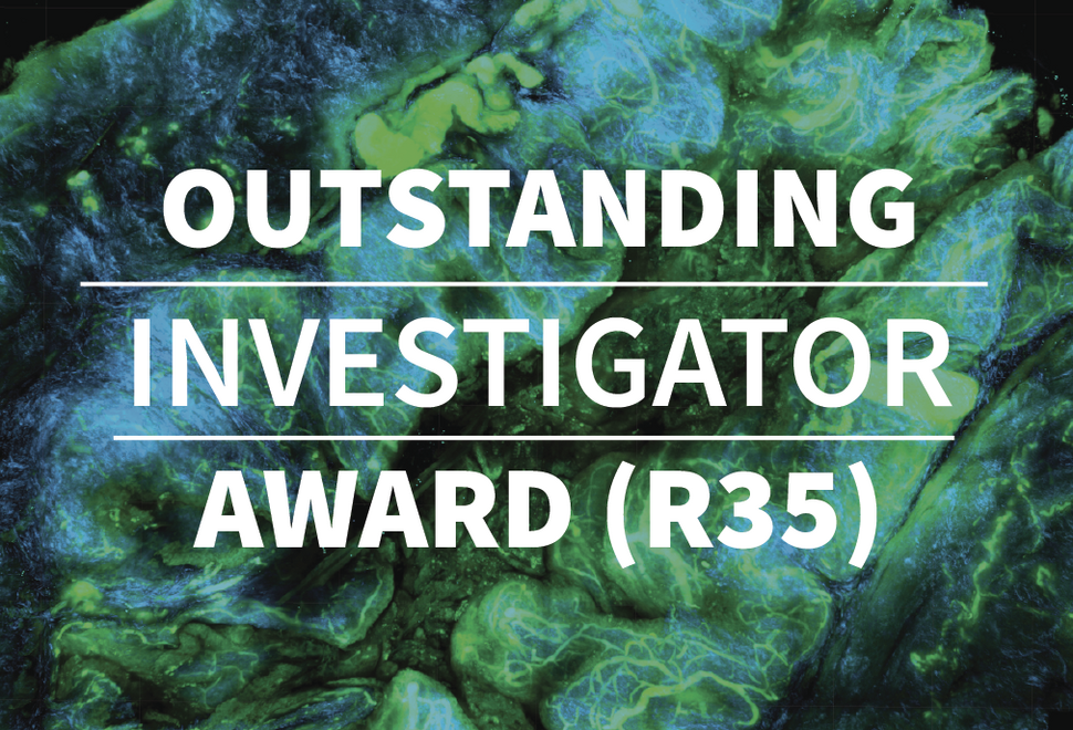 Outstanding Investigator Award (R35)