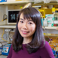 Yang Claire Zeng, M.D., Ph.D.