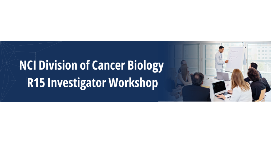 NCI Division of Cancer Biology R15 Investigator Workshop (June 26 - 28, 2024) banner with the image of a person giving a presentation with a flip chart at a meeting with a group. 