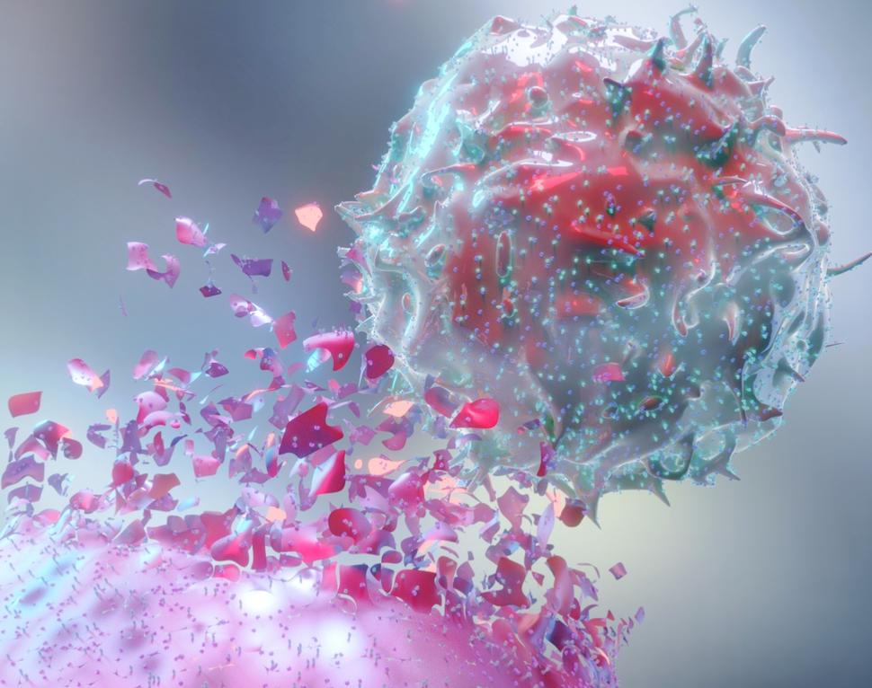 Imagen estilizada de una célula inmunitaria que ataca una célula cancerosa.