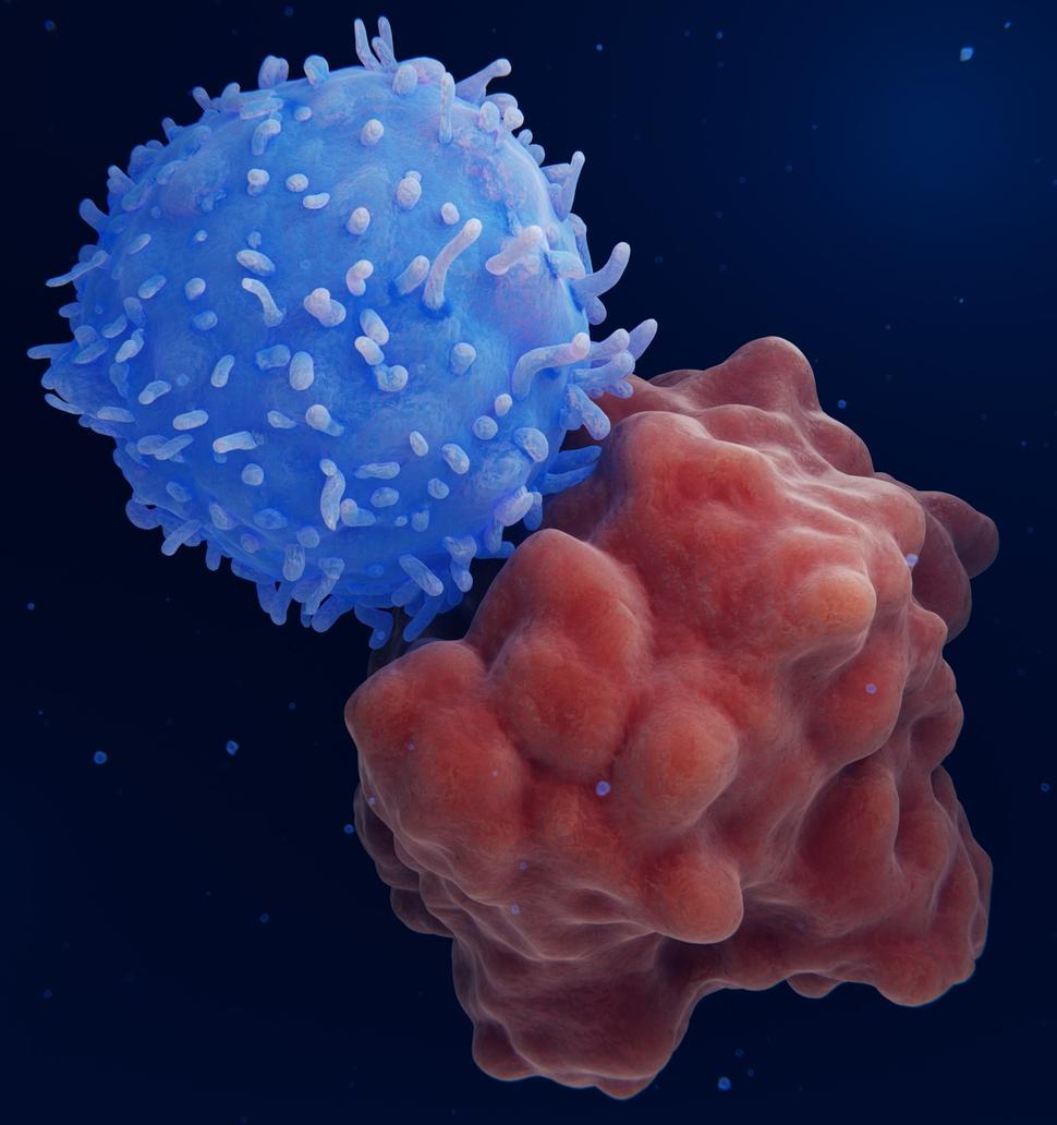 A conceptual illustration of a T cell attacking a cancer cell