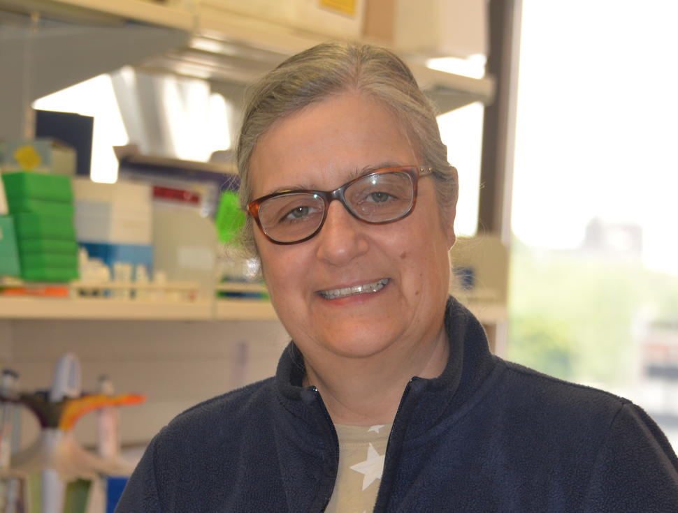 Photo of Dr. Barroso