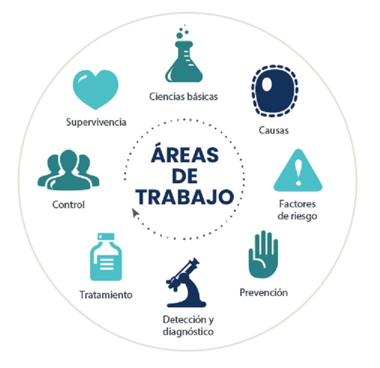 Infografía que muestra las áreas de trabajo del NCI en un círculo con símbolos: ciencias básicas, causas, factores de riesgo, prevención, detección y diagnóstico, tratamiento, control, supervivencia.