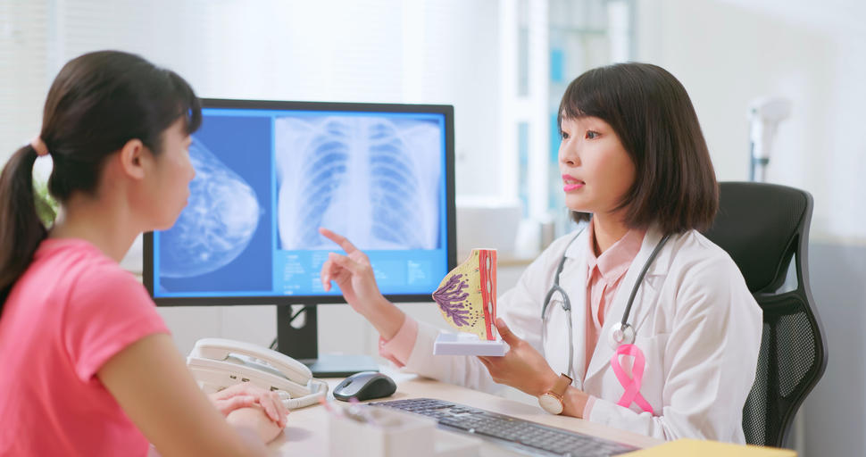 A doctor holding a model of a breast and pointing at an image of a mammogram on a monitor while talking to a patient.