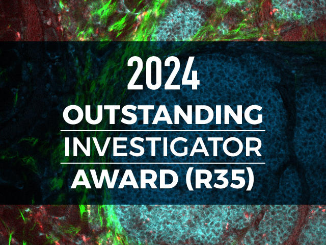2024 Outstanding Investigator Award