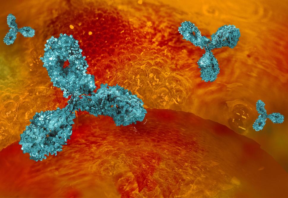 A colorful illustration of Y-shaped antibodies, depicted in a sparkling blue color, among a cancer cell, depicted in a bright-red orange