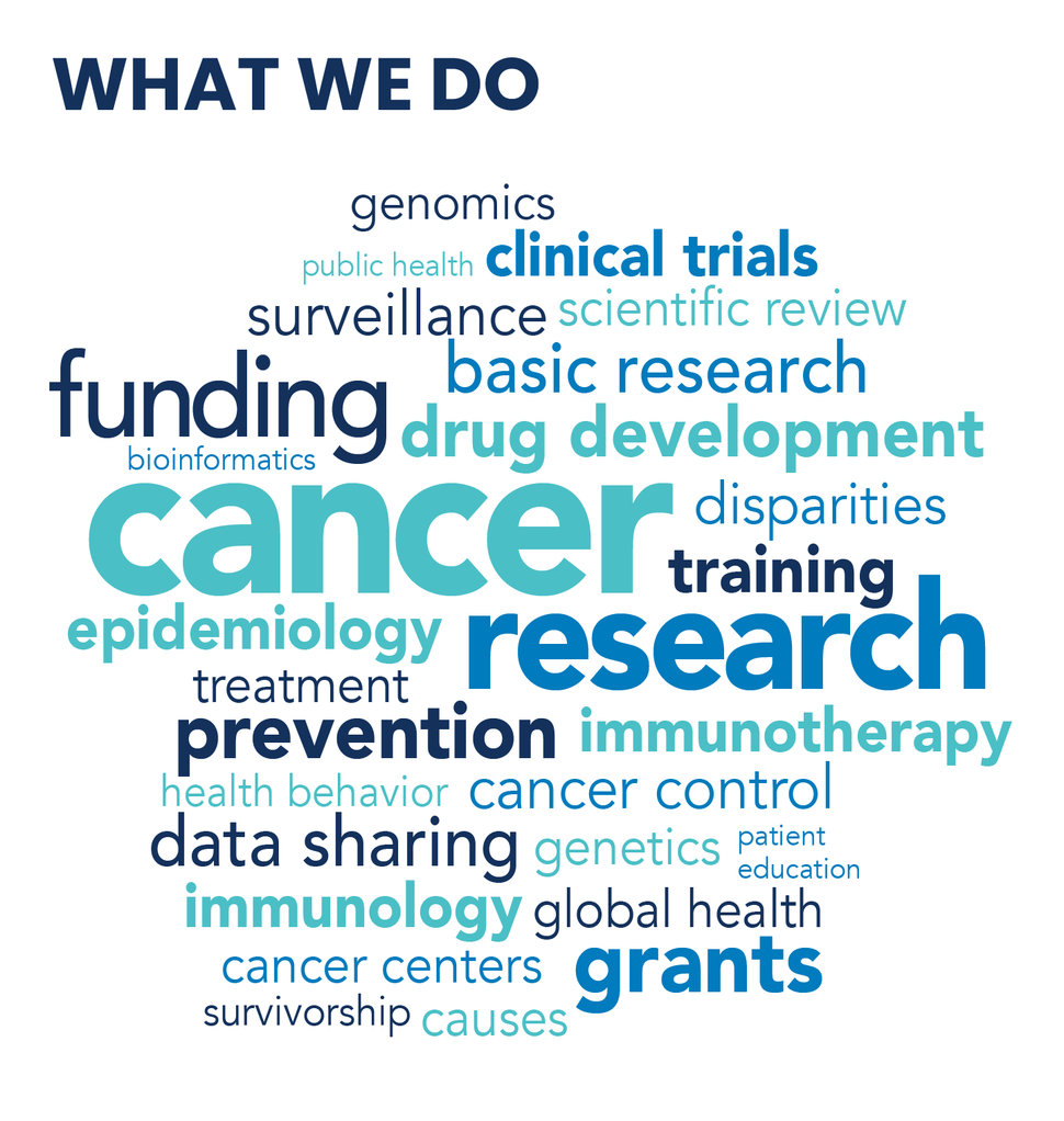 A word cloud with the heading "WHAT WE DO" at the top. The words are in various shades of blue and green, with larger words indicating more emphasis. Prominent words include "cancer," "research," "funding," "prevention," "clinical trials," "basic research," "drug development," "immunotherapy," and "grants."