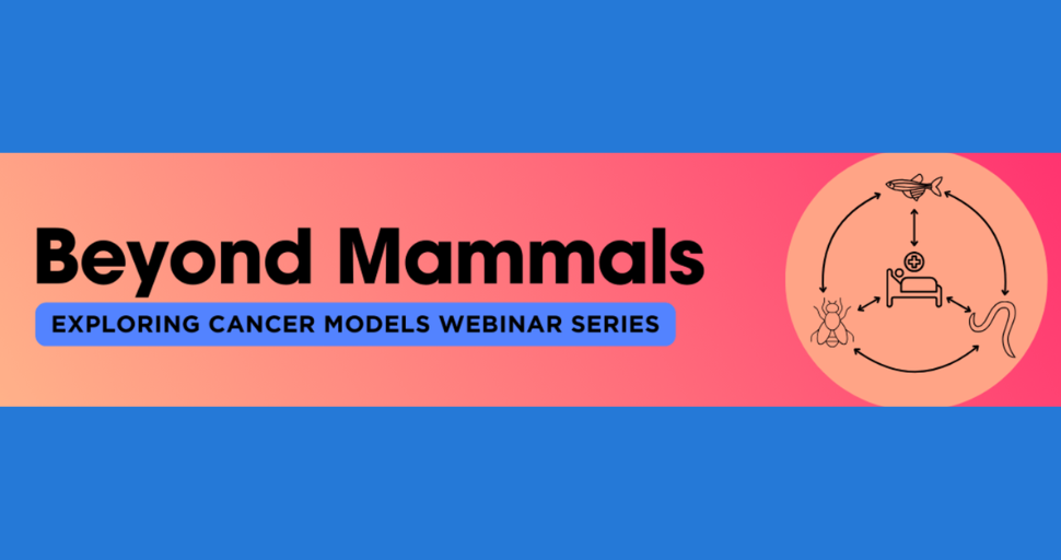 Beyond Mammals: Exploring Cancer Models Webinar Series banner image with connected icons of a zebrafish, worm, fly, and a patient lying in a bed.