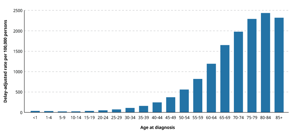 Cancer incidence rates are shown for age groupings from <1 year to 85 years and older in a bar chart format. Rates are higher for older ages.