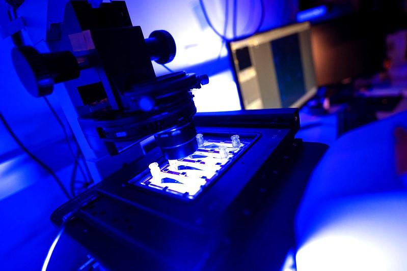 A photograph of a square-shaped device with small channels, illuminated in white light with a large microscope hanging over top, that can measure the stickiness of tumor cells.