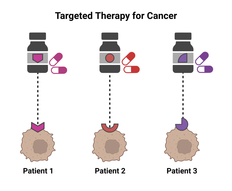 Drawing shows three different bottles of pills each with arrows pointing to three different cancer cells representing patients.